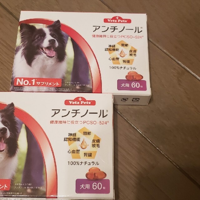 アンチノール　犬用　60粒　2箱〈おまけ付き〉犬