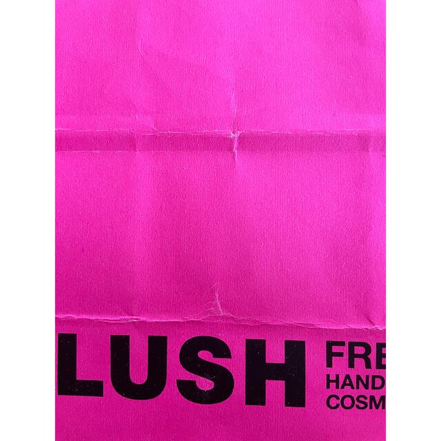 LUSH(ラッシュ)のラッシュ　ショップ袋　紙袋 レディースのバッグ(ショップ袋)の商品写真