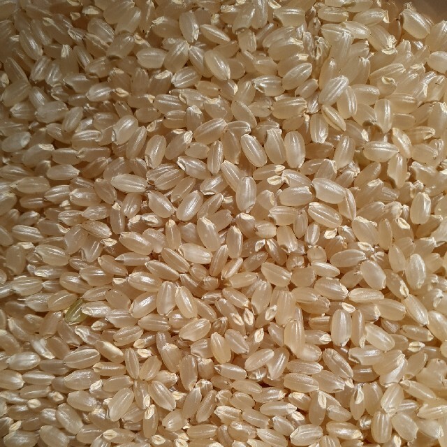 《最終値下げ》令和3年産あきたこまち玄米10kg 米 食品/飲料/酒の食品(米/穀物)の商品写真