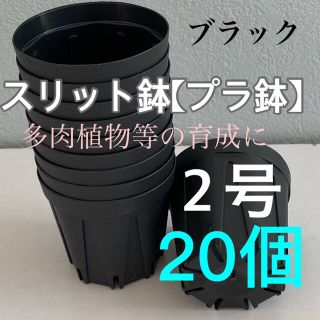 【スリット鉢】プラ鉢直径6cm 2号　20個(プランター)