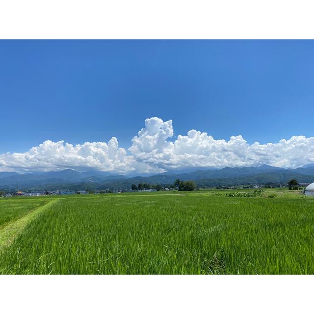 じーさま専用ページ 令和3年度 富山県立山産コシヒカリ 精米10kg - 米/穀物