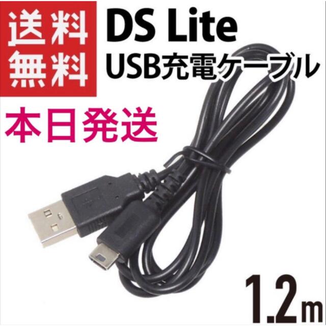 80%以上節約 新品DSライト 充電器 USB ケーブル DSL DS Lite ND 2個