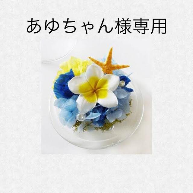 www.haoming.jp - プルメリア様専用 価格比較