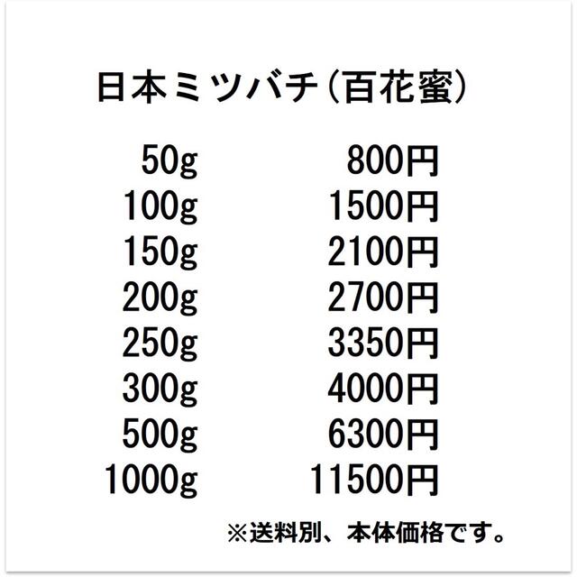 セール【非加熱・生はちみつ】4種セット・300g×4（4本）