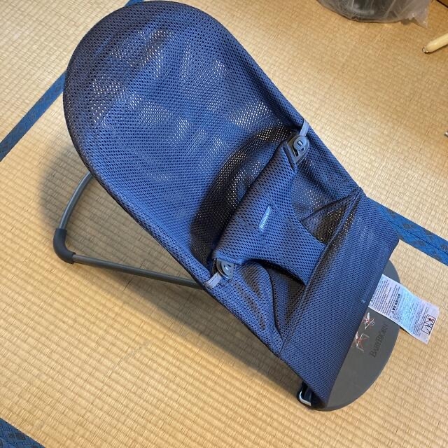 BABYBJORN(ベビービョルン)の【BABY BJORN】バウンサーBliss Air キッズ/ベビー/マタニティのキッズ/ベビー/マタニティ その他(その他)の商品写真