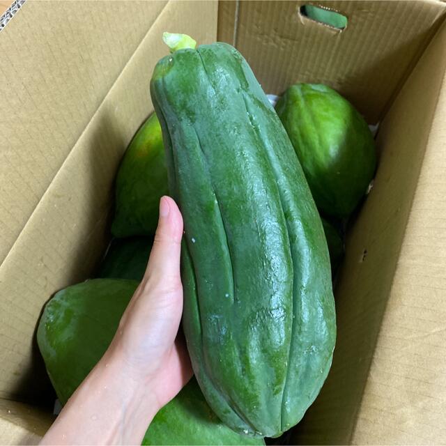 沖縄県産　農薬不使用　青パパイヤ大きめ10Kg 食品/飲料/酒の食品(野菜)の商品写真