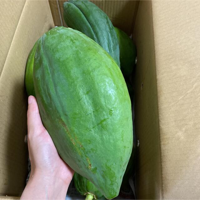 沖縄県産　農薬不使用　青パパイヤ大きめ10Kg 食品/飲料/酒の食品(野菜)の商品写真