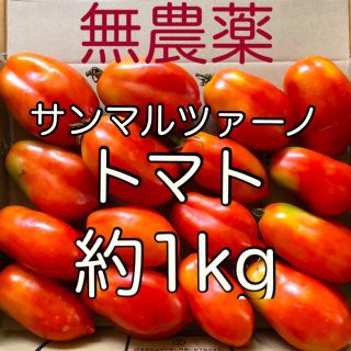 ☆無農薬　サンマルツァーノトマト　約1kg☆(野菜)