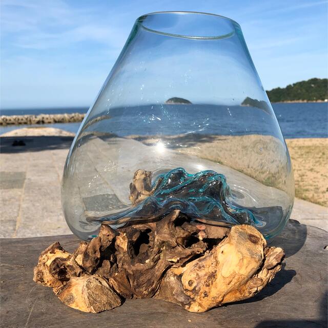 流木ガラス オブジェ特大C 花瓶 金魚鉢 ガーデニング テラリウム 観賞