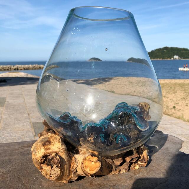 流木ガラス オブジェ特大C 花瓶 金魚鉢 ガーデニング テラリウム 観賞