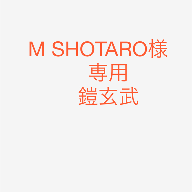 M SHOTARO様専用ページ　鎧玄武 エンタメ/ホビーのフィギュア(ゲームキャラクター)の商品写真