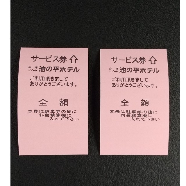 池の平ファミリーランド フリーパス 駐車券