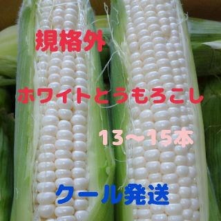 規格外ホワイトとうもろこし(13-15本)(野菜)