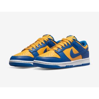 ナイキ(NIKE)のNIKE DUNK LOW RETRO(スニーカー)