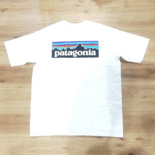 パタゴニア(patagonia)のpatagonia(パタゴニア)Tシャツ(Tシャツ/カットソー(半袖/袖なし))