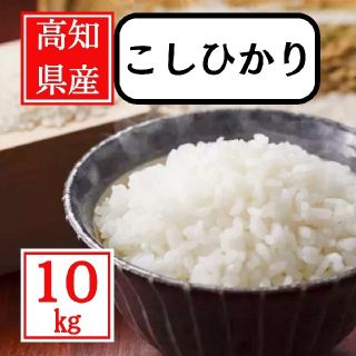 令和2年産！極上コシヒカリ！新米！精米or無洗米！20食品/飲料/酒