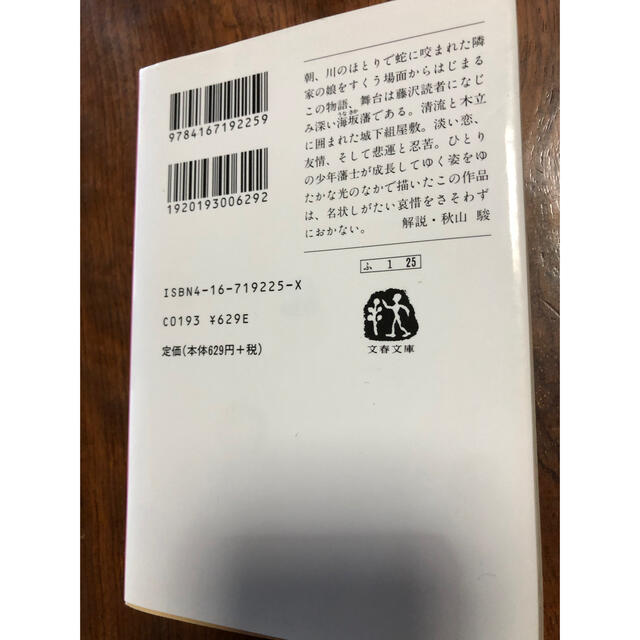 蝉しぐれ　藤沢周平 エンタメ/ホビーの本(文学/小説)の商品写真