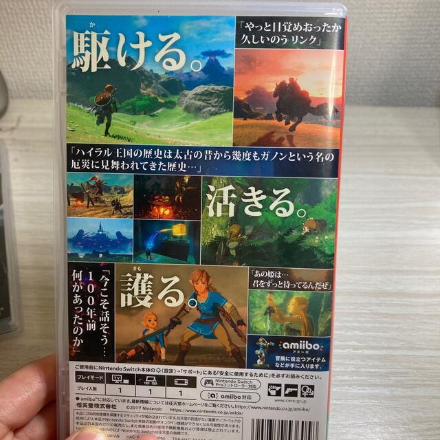 ゼルダの伝説 ブレス オブ ザ ワイルド Switch