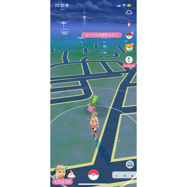 ポケモン(ポケモン)のポケモンGO プラス　Pokemon GO PLUS エンタメ/ホビーのゲームソフト/ゲーム機本体(家庭用ゲーム機本体)の商品写真