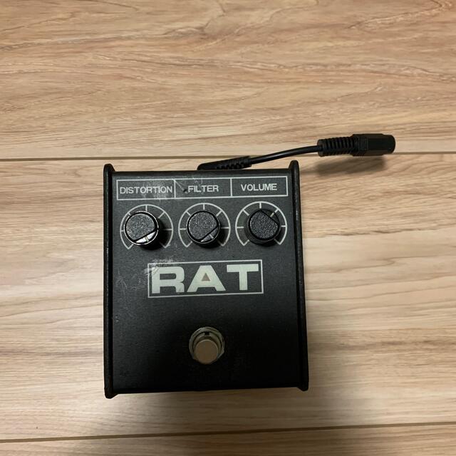 proco RAT2 | visitsantaflavia.it