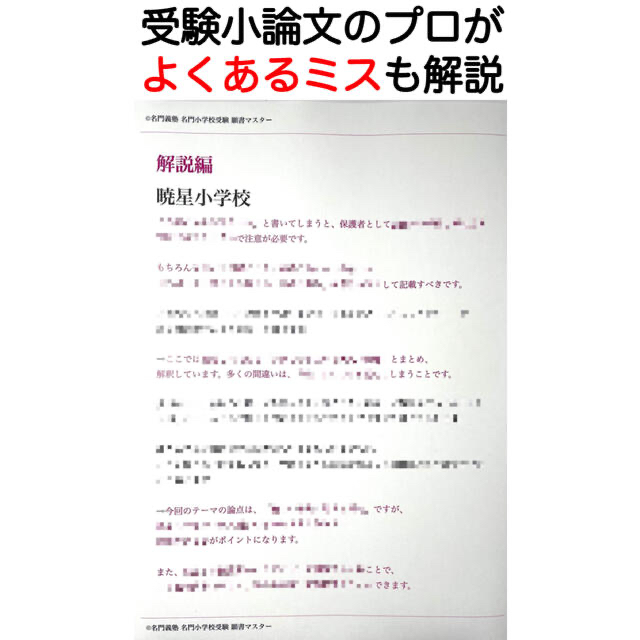 暁星小学校 過去問 願書 早稲田実業 慶応幼稚舎 横浜初等 稲花 筑波 洗足学園 7