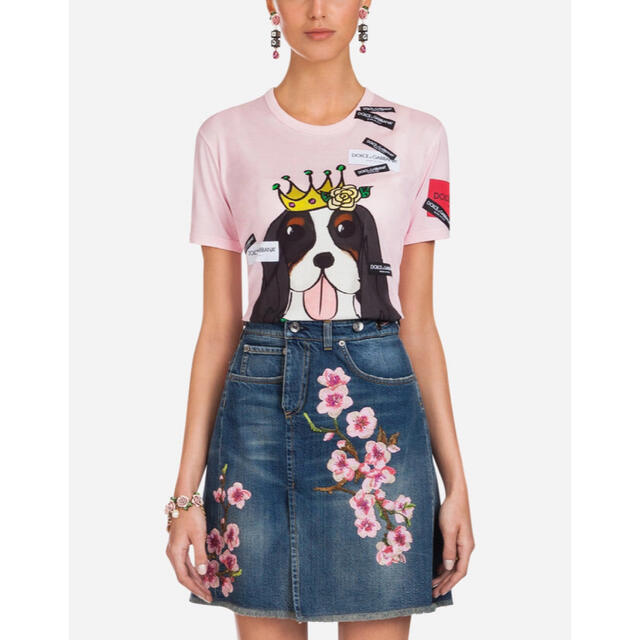 DOLCE&GABBANA(ドルチェアンドガッバーナ)のDOLCE&GABBANA レア希少限定コレクション ワンちゃんロゴTシャツ レディースのトップス(Tシャツ(半袖/袖なし))の商品写真