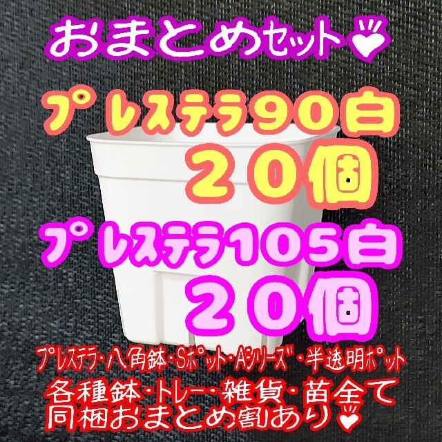 スリット鉢】プレステラ90&105 白 各20個 多肉植物 プラ鉢 - フラワー