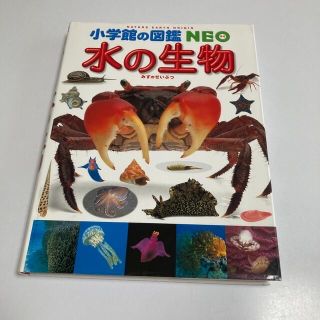 ショウガクカン(小学館)の水の生物(絵本/児童書)
