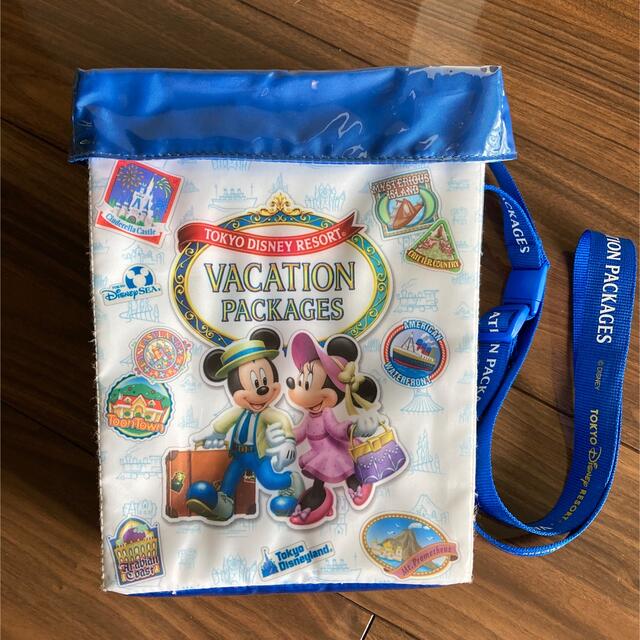 Disney(ディズニー)のディズニー　バケーションパッケージ　アイテム エンタメ/ホビーのおもちゃ/ぬいぐるみ(キャラクターグッズ)の商品写真