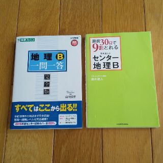 「地理B一問一答」 と 「直前30日で9割とれるセンター地理B」(語学/参考書)