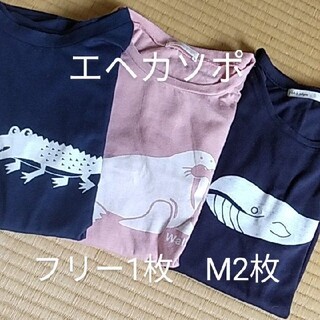 エヘカソポ(ehka sopo)のエヘカソポ　Ｔシャツ3枚　まとめ売り　M2枚とフリー1枚　ネイビーとピンク(Tシャツ(半袖/袖なし))