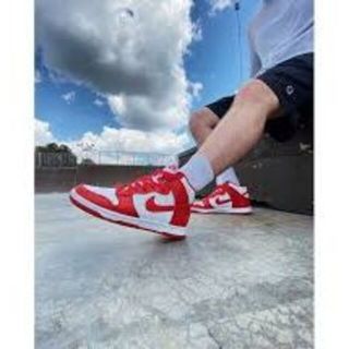 ナイキ(NIKE)のダンク  Dunk Hi Retro University Red(スニーカー)