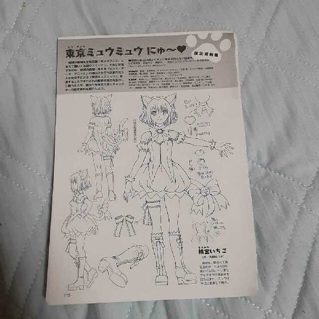 東京ミュウミュウにゅ~🖤設定資料集の通販 by 零羅☆ショップ 東京ミュウミュウにゅ~🖤設定資料集の通販 by 零羅☆ショップ