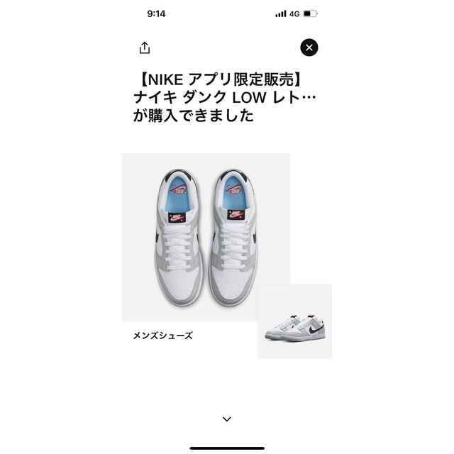 NIKE(ナイキ)のNIKE DUNK LOW RETRO SE ロッタリー GREY FOG 27 メンズの靴/シューズ(スニーカー)の商品写真