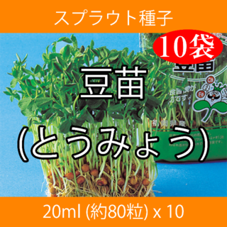 スプラウト種子 S-07 豆苗(とうみょう) 20ml 約80粒 x 10袋(野菜)