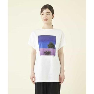 シビラ(Sybilla)のシビラ●コットン天竺プリントTシャツ(Tシャツ(半袖/袖なし))