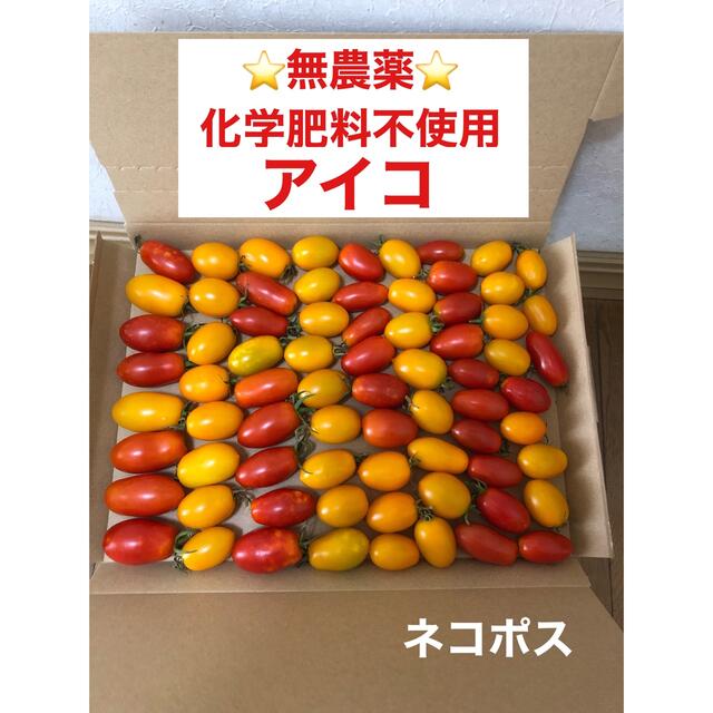 ⭐︎無農薬⭐︎ ミニトマト　アイコ 食品/飲料/酒の食品(野菜)の商品写真
