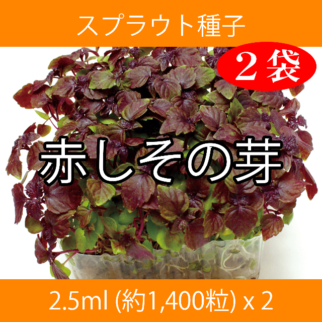 スプラウト種子 S-13 赤しその芽 2.5ml 約1,400粒 x 2袋 食品/飲料/酒の食品(野菜)の商品写真