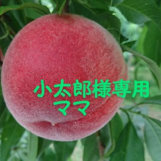 🍑小太郎ママ様専用🍑(フルーツ)