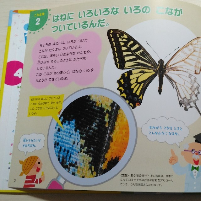 科学クイズ絵本12冊セット　幼稚園児向け　なぜなぜクイズ絵本 エンタメ/ホビーの本(絵本/児童書)の商品写真