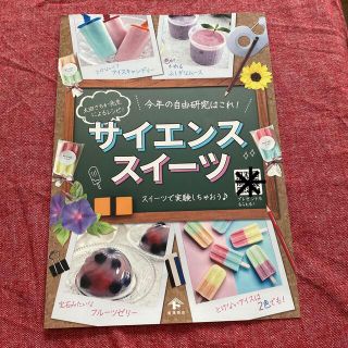 自由研究　サイエンススイーツフライヤー1枚(料理/グルメ)