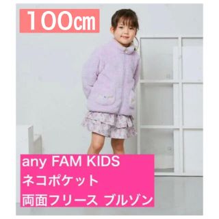 エニィファム(anyFAM)のany FAM KIDS ネコポケット 両面フリース ブルゾン 100㎝(ジャケット/上着)