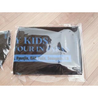 ストレイキッズ(Stray Kids)の※専用※Straykids ワルツ コンサート グッズ マニアック タオル(アイドルグッズ)