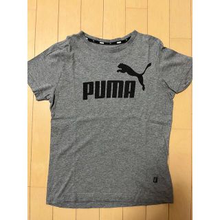 プーマ(PUMA)のプーマ 150 半袖Tシャツ グレー(Tシャツ/カットソー)