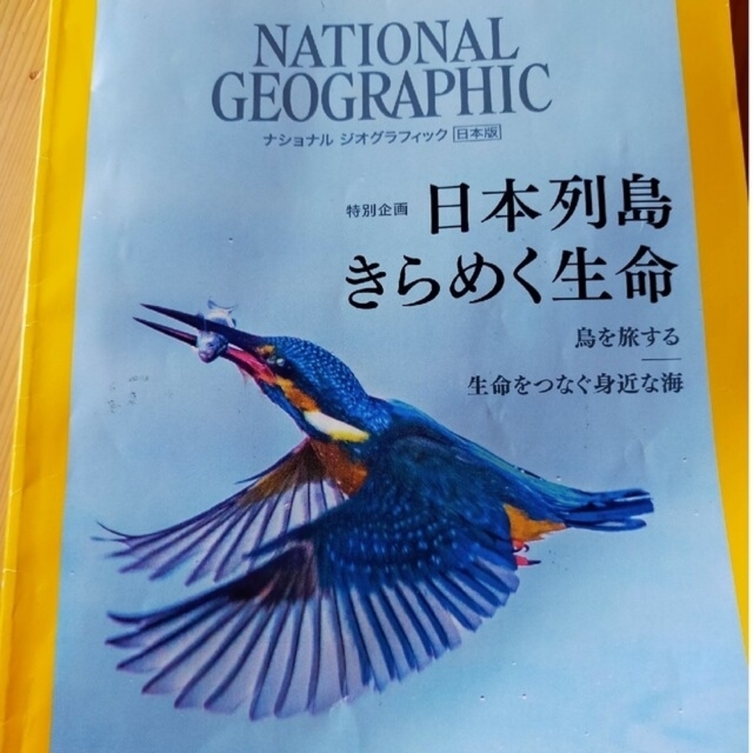 日経BP(ニッケイビーピー)のNATIONAL GEOGRAPHIC (ナショナル ジオグラフィック) 日本版 エンタメ/ホビーの雑誌(専門誌)の商品写真