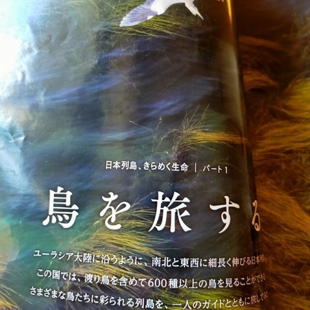 日経BP(ニッケイビーピー)のNATIONAL GEOGRAPHIC (ナショナル ジオグラフィック) 日本版 エンタメ/ホビーの雑誌(専門誌)の商品写真