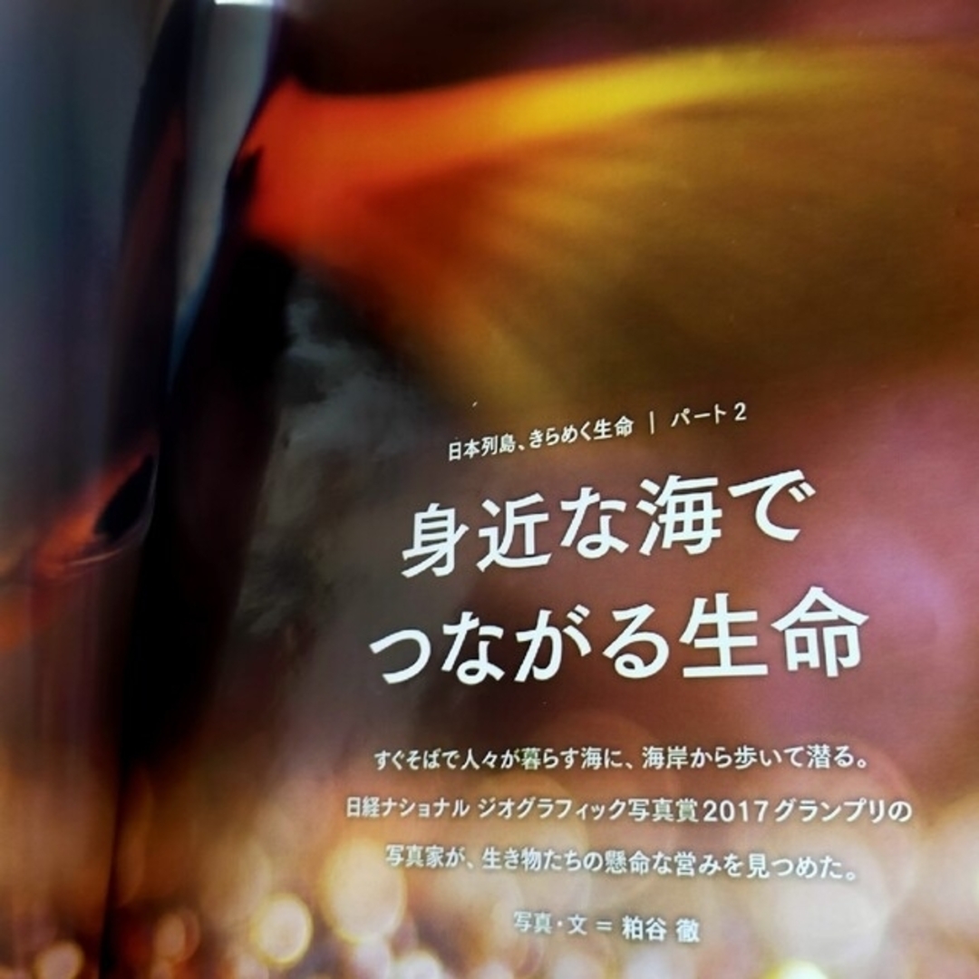 日経BP(ニッケイビーピー)のNATIONAL GEOGRAPHIC (ナショナル ジオグラフィック) 日本版 エンタメ/ホビーの雑誌(専門誌)の商品写真