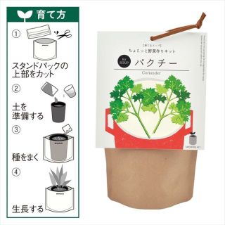 【新品・送料無料】育てるスープ パクチー栽培キット(野菜)