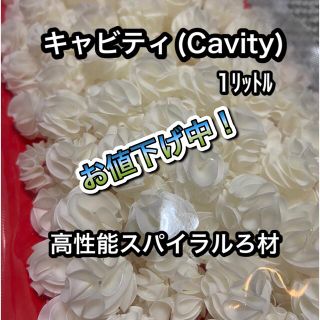 新品　Cavity(キャビティ—) 1L  熱帯魚ろ材(アクアリウム)