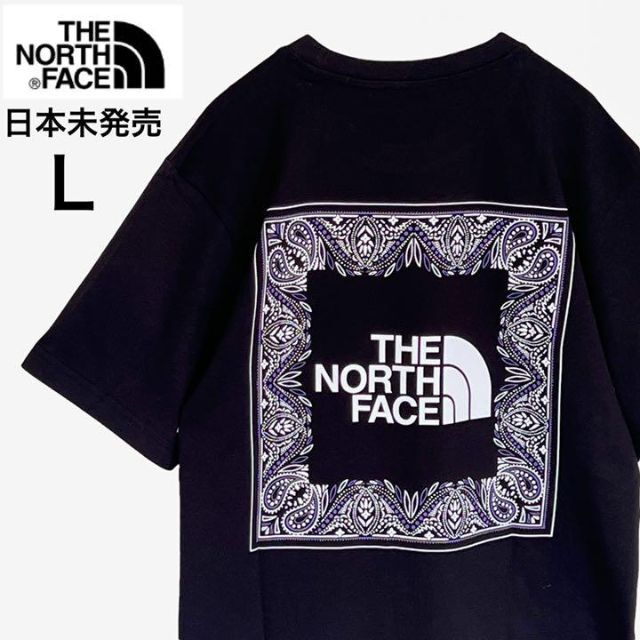 THE NORTH FACE(ザノースフェイス)のザノースフェイスTシャツ半袖★バンダナ柄プリント★メンズ/レディース ブラックL メンズのトップス(Tシャツ/カットソー(半袖/袖なし))の商品写真